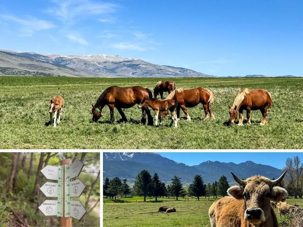 شقة Duplex Moixero Escapada En La Montana بُويكثيرذا